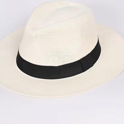 CASA FUEGO Panama Hat